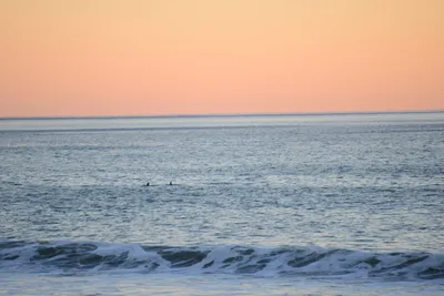 DSC_1288 (Large).JPG